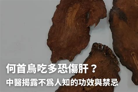 何首烏中藥|何首烏秋冬進補怎麼吃？醫列功效禁忌＋何首烏藥膳做。